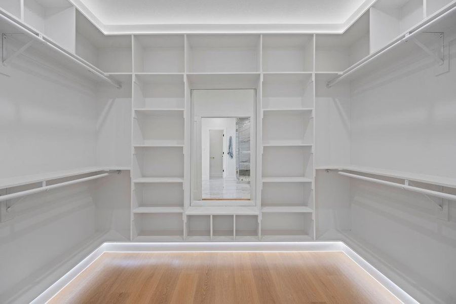 Spacious closet with hardwood / wood-style flooring