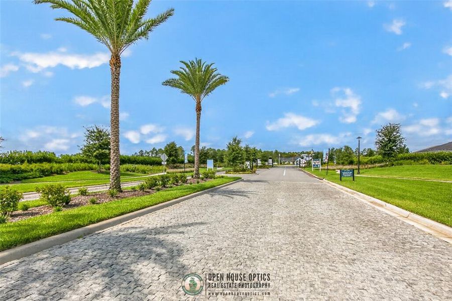 Natural landscape and outdoor views near Reverie at Palm Coast in Palm Coast (Image 59).