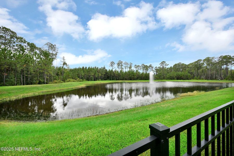 Natural landscape and outdoor views near in Jacksonville (Image 54). Natural landscape and outdoor views near in Jacksonville (Image 54).