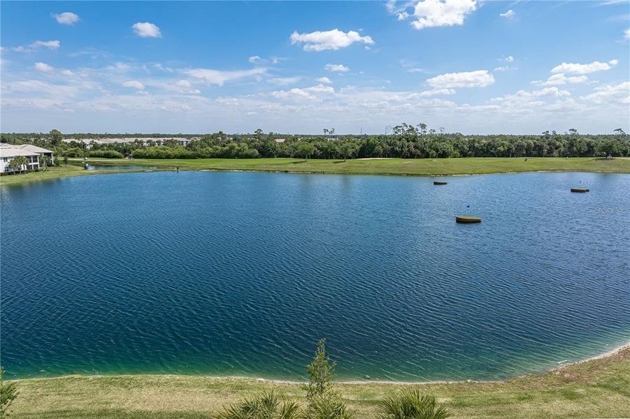 Natural landscape and outdoor views near  in Punta Gorda (Image 72).
