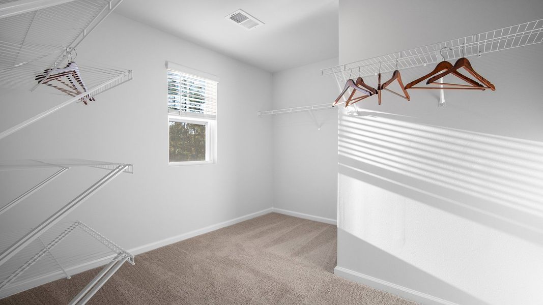 Spacious, unfurnished interior of a new home in The Groves at Bees Creek, Ridgeland (Image 18).