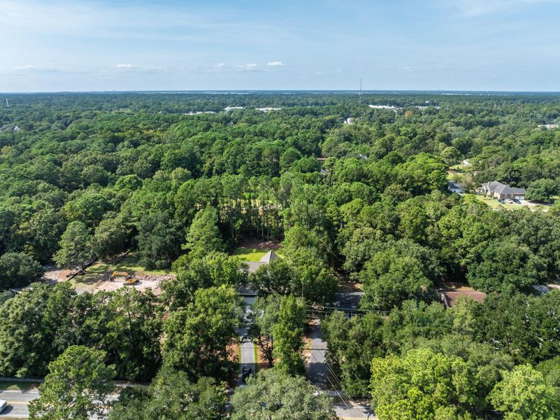 Natural landscape and outdoor views near  in Mount Pleasant (Image 116).