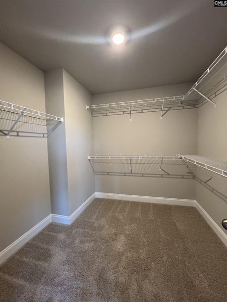 Spacious, unfurnished interior of a new home in The Cove, Sumter (Image 20).