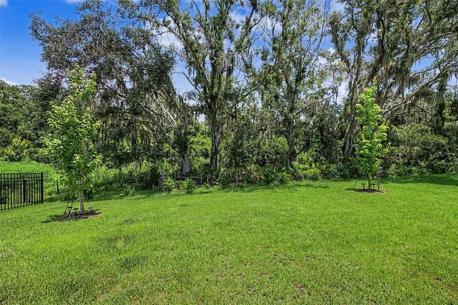 Natural landscape and outdoor views near in Wesley Chapel (Image 27). Natural landscape and outdoor views near in Wesley Chapel (Image 27).