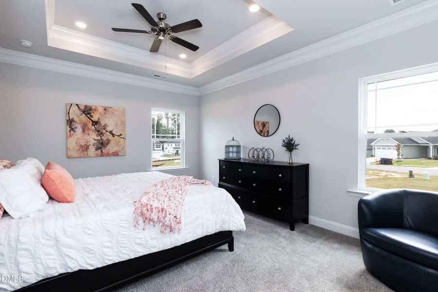 Tray Ceilings and Crown Moulding