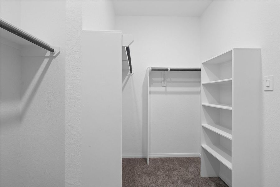 The primary suite features a generous walk-in closet equipped with functional hanging rods and shelving.
