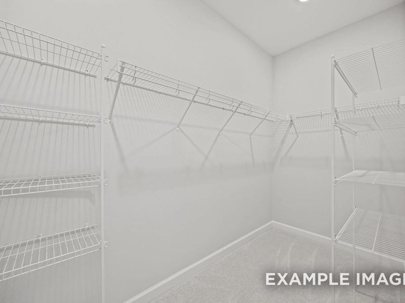 Spacious, unfurnished interior of a new home in Forestville Yard, Knightdale (Image 7).