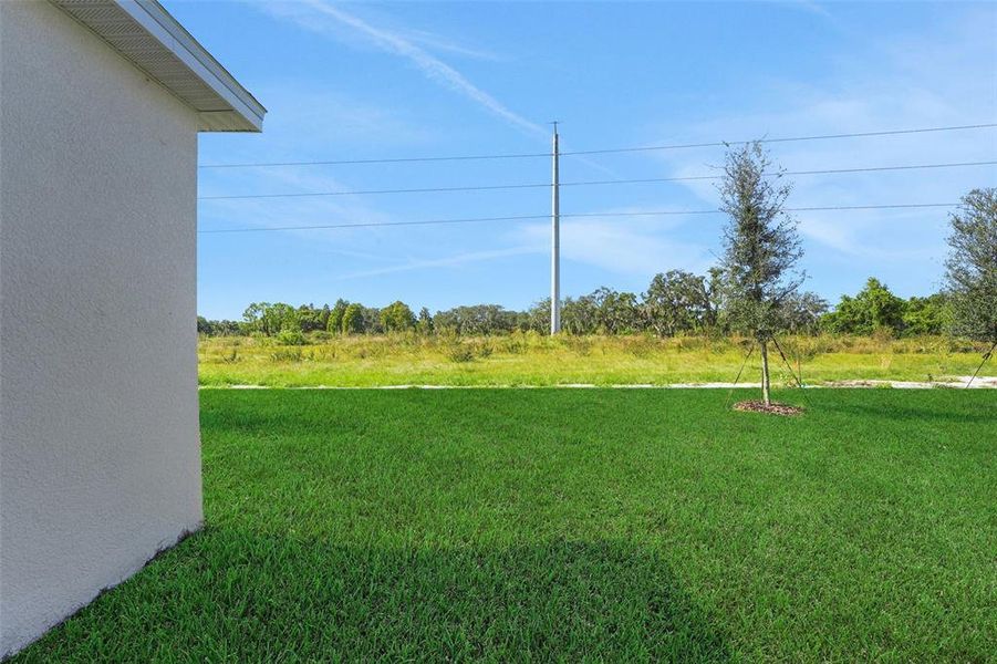 Exterior details and patio area of a home in Willowbrook North, Winter Haven (Image 18).
