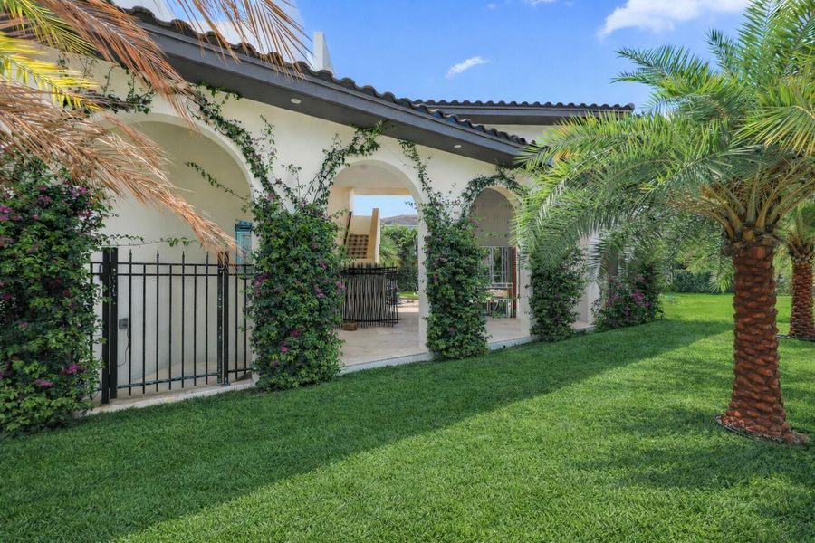 AI enhanced - grass AI enhanced - grass