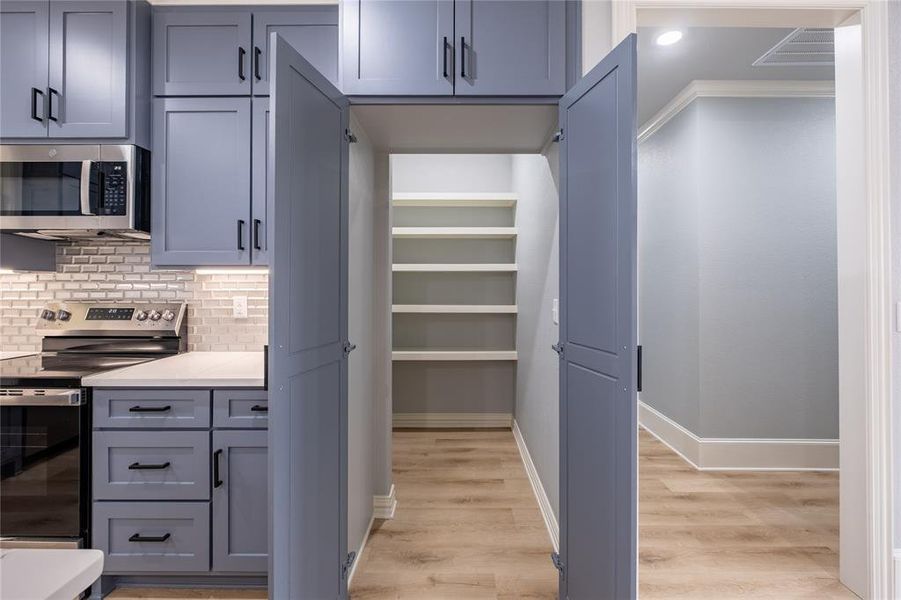 View of walk-in pantry
