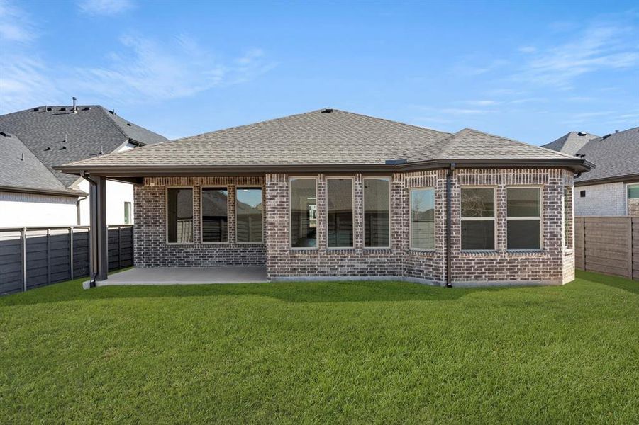 27. 7245 Ladybug - Back