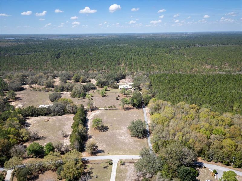 Natural landscape and outdoor views near  in Ocklawaha (Image 39).