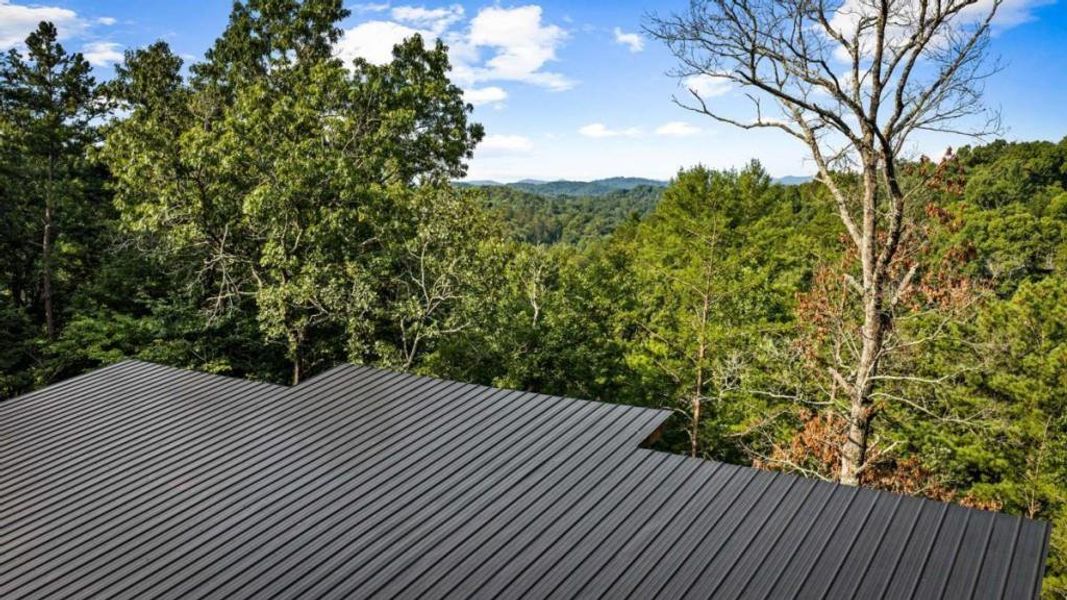 Natural landscape and outdoor views near in Mineral Bluff (Image 57). Natural landscape and outdoor views near in Mineral Bluff (Image 57).