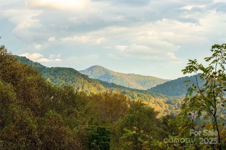 View of Purchase Knob which is part of the Appalachian Highlands Science Learning Center property in the Great Smoky Mountains National Park