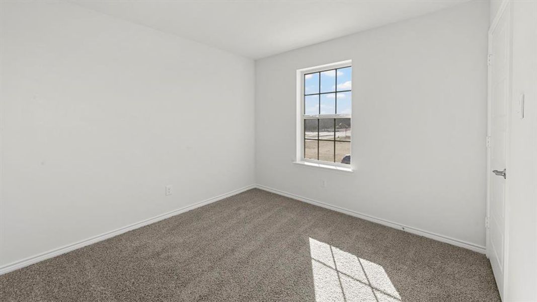 Room featuring light gray carpet, white painted walls, white baseboards, and a single window with grilles Room featuring light gray carpet, white painted walls, white baseboards, and a single window with grilles