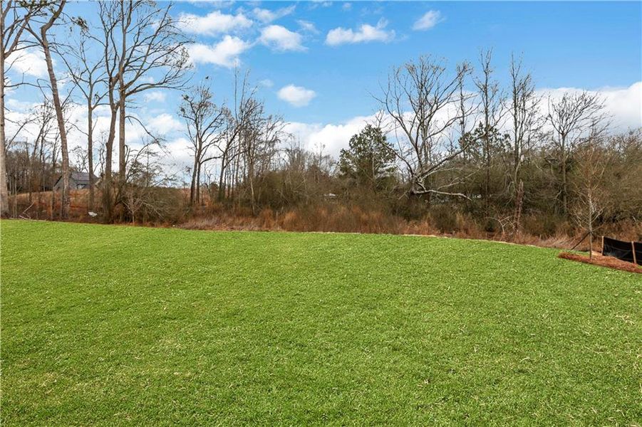 Natural landscape and outdoor views near Acacia in Cumming (Image 44).