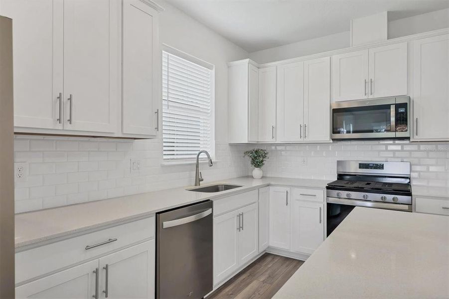 Love the big basin sink