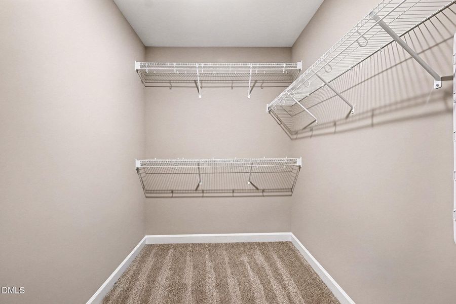 019_kv0a3536_818 019_kv0a3536_818