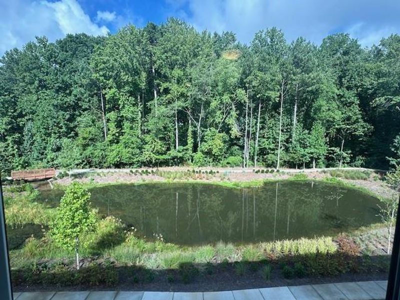 Image 47 of a home in Ecco Park.