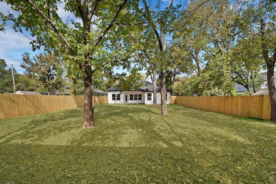 View of fenced backyard