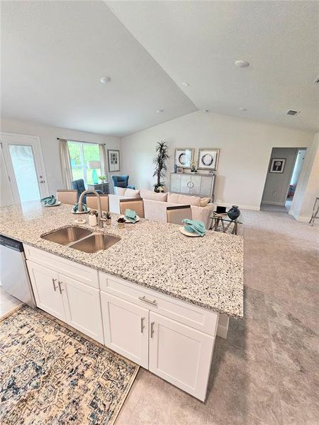 Furnished interior view inside a new home in The Preserve at Laurel Lake, Lake City (Image 7).