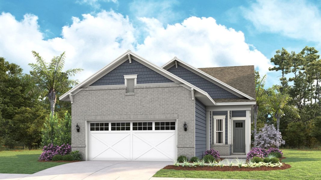 Elevation BB | Brick Elevation BB | Brick