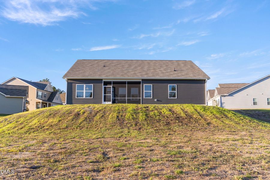 Large Backyard Large Backyard