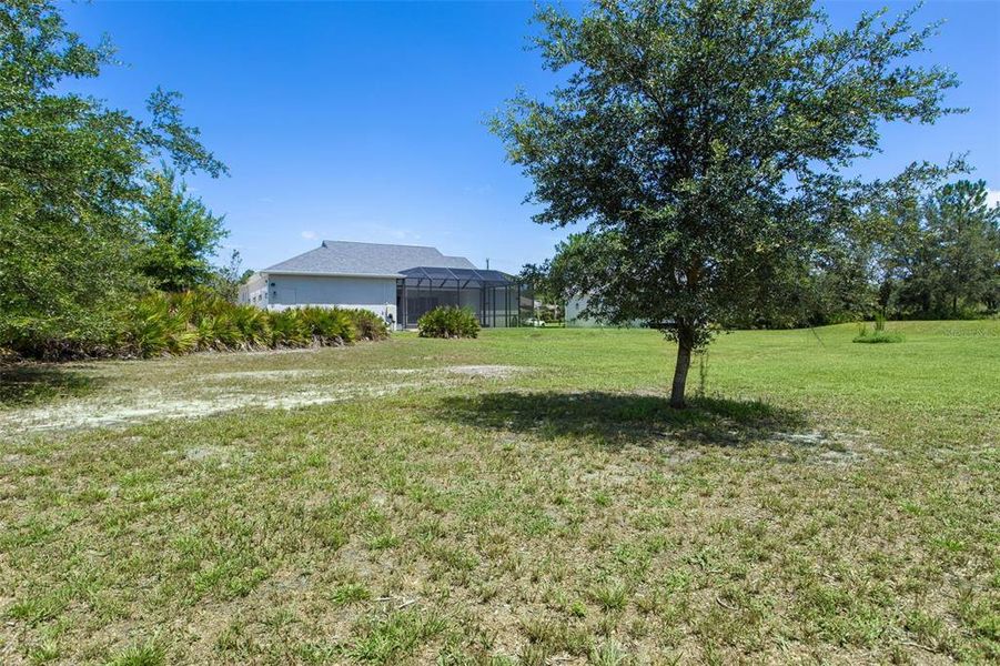 Natural landscape and outdoor views near  in Wesley Chapel (Image 55).