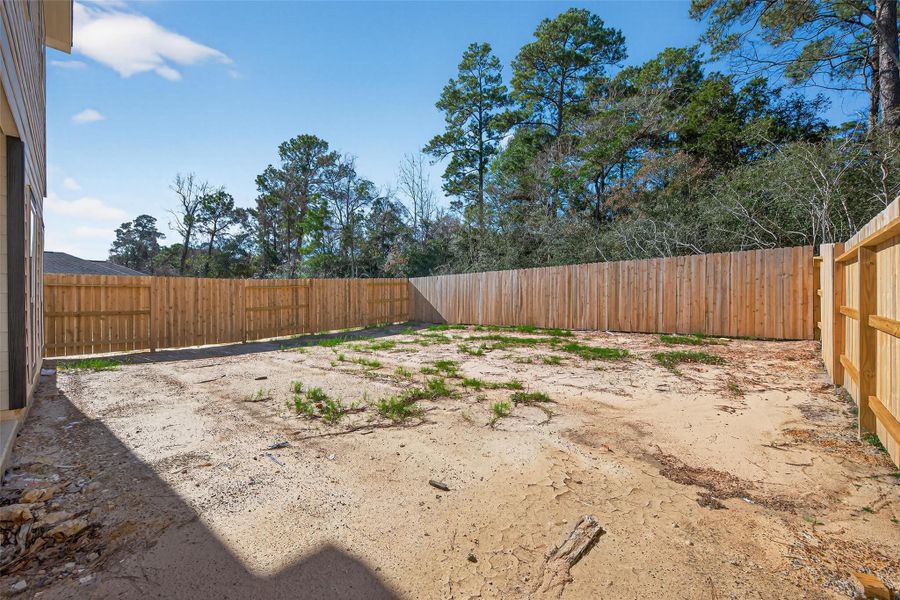 Exterior details and patio area of a home in Enclave at Willis, Willis (Image 29).