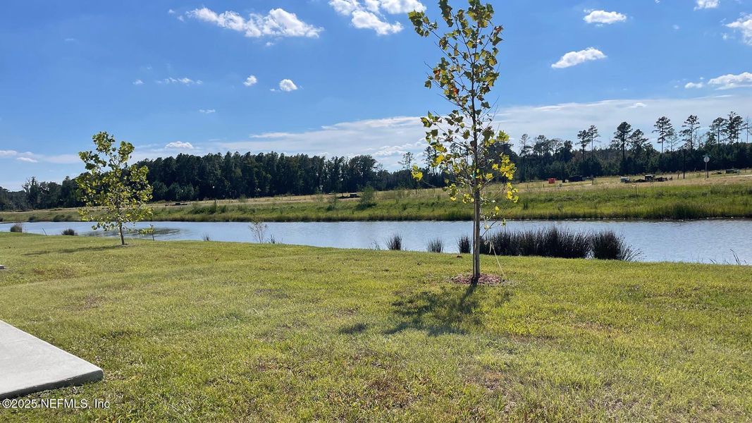 Natural landscape and outdoor views near The Arbors in Jacksonville (Image 37). Natural landscape and outdoor views near The Arbors in Jacksonville (Image 37).