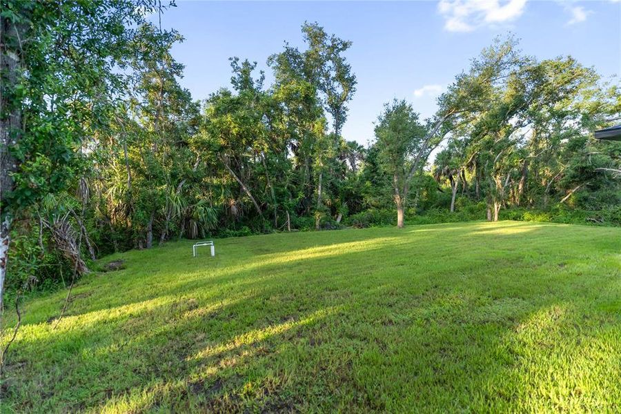 Natural landscape and outdoor views near  in Port Charlotte (Image 54).