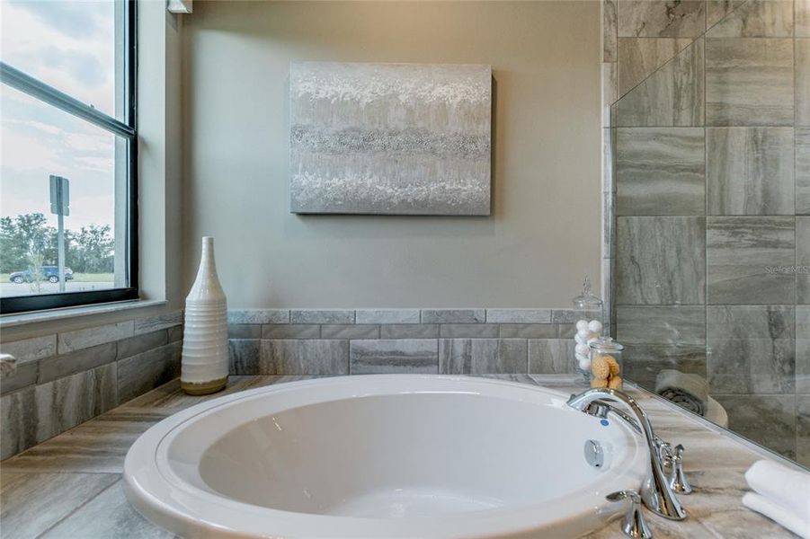 Furnished interior view inside a new home in , Tarpon Springs (Image 22).