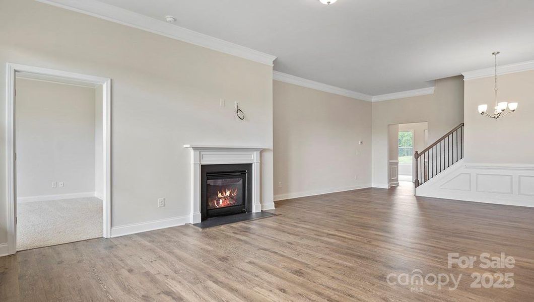 Photos are representative