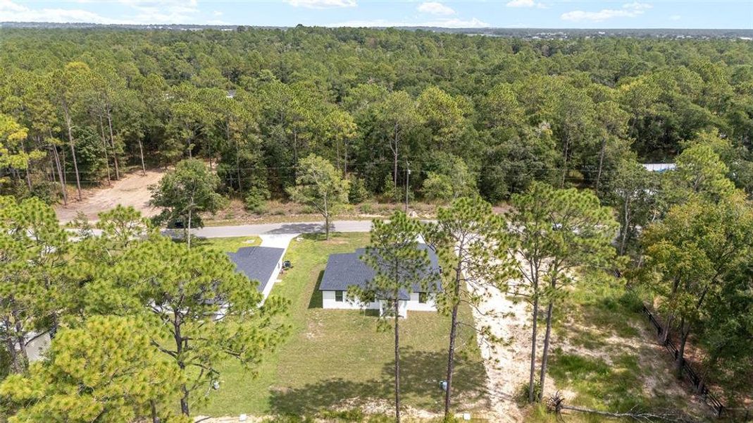 Natural landscape and outdoor views near  in Ocala (Image 44).