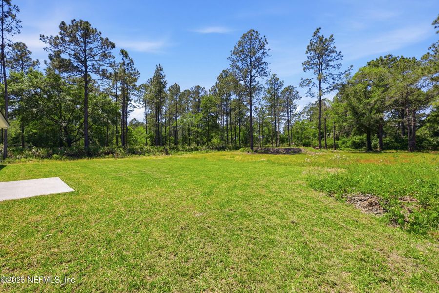 Natural landscape and outdoor views near  in Hastings (Image 37).