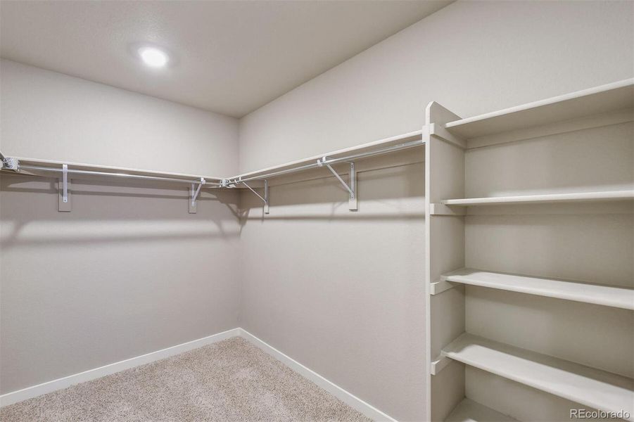 Spacious, unfurnished interior of a new home in Timberleaf, Thornton (Image 23).