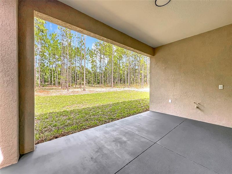 Spacious, unfurnished interior of a new home in , Citrus Springs (Image 29).