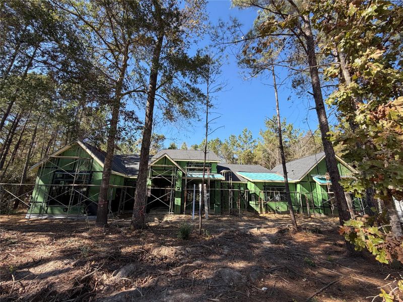 Custom Vizcaya at High Meadows West, 1 story 4300 ish square feet