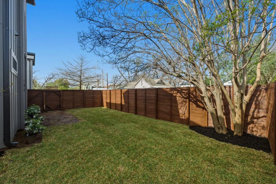 View of fenced backyard