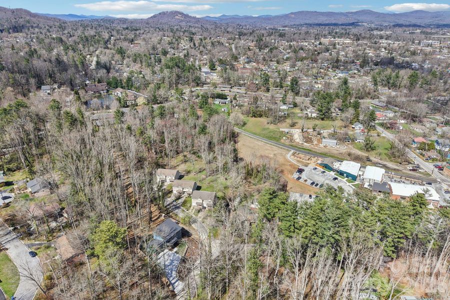 Natural landscape and outdoor views near  in Hendersonville (Image 39).