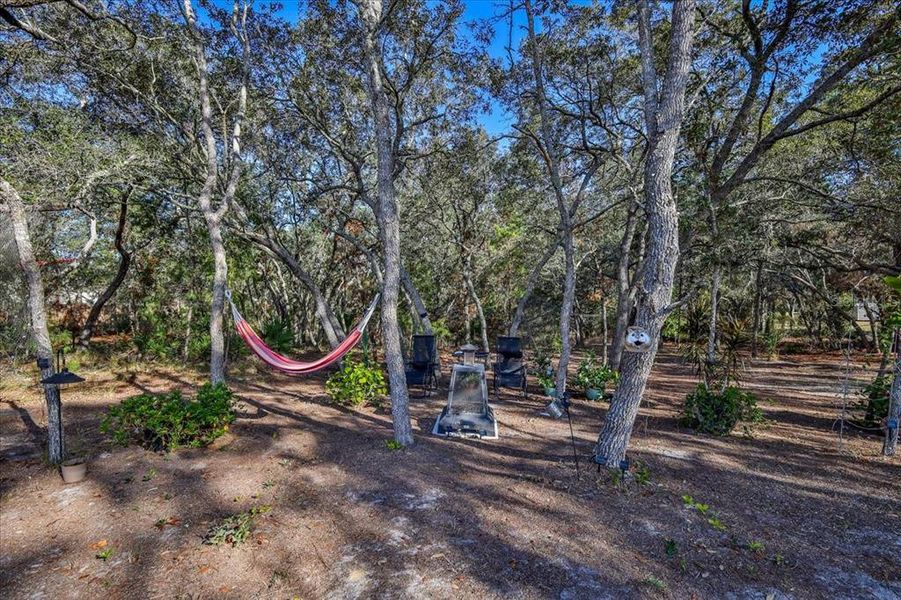 Natural landscape and outdoor views near Royal Highlands in Brooksville (Image 46).