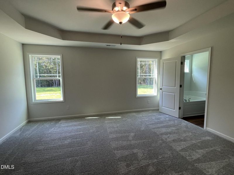 IMG_2154 - Copy IMG_2154 - Copy