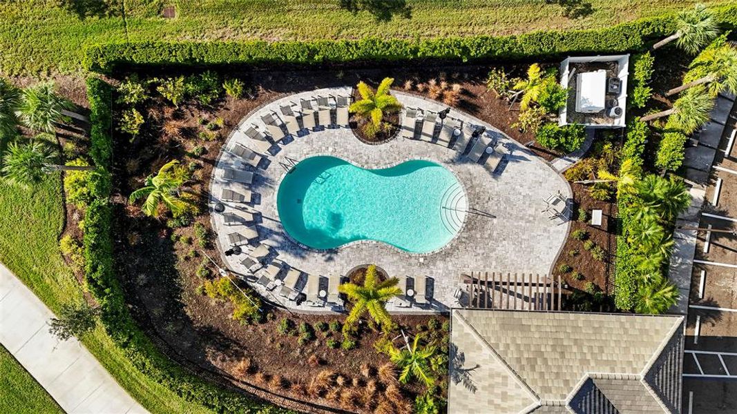 Community amenities in , Sarasota (Image 36). Community amenities in , Sarasota (Image 36).