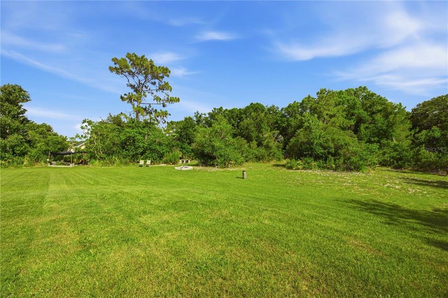 Natural landscape and outdoor views near in Wesley Chapel (Image 50). Natural landscape and outdoor views near in Wesley Chapel (Image 50).