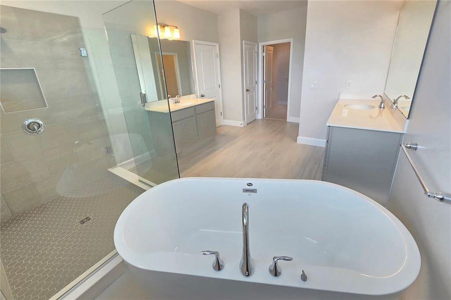 Furnished interior view inside a new home in Bay Lake Farms, St. Cloud (Image 10).