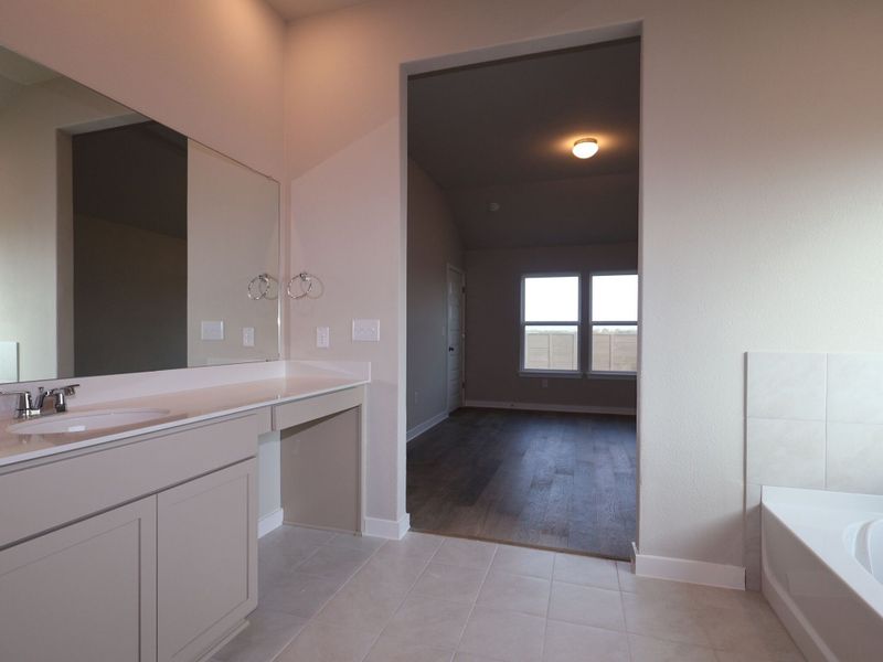 Owner's Bathroom