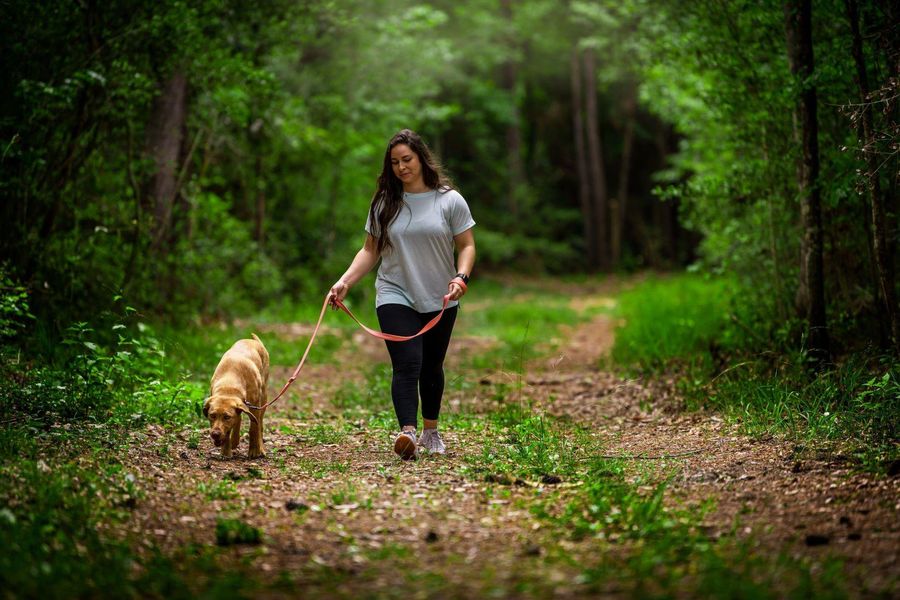 Image 32 of a home in The Highlands 45'.
