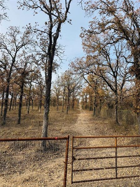 Natural landscape and outdoor views near in Hico (Image 21). Natural landscape and outdoor views near in Hico (Image 21).