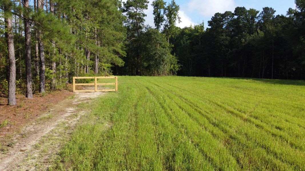 Natural landscape and outdoor views near  in Cross (Image 14).