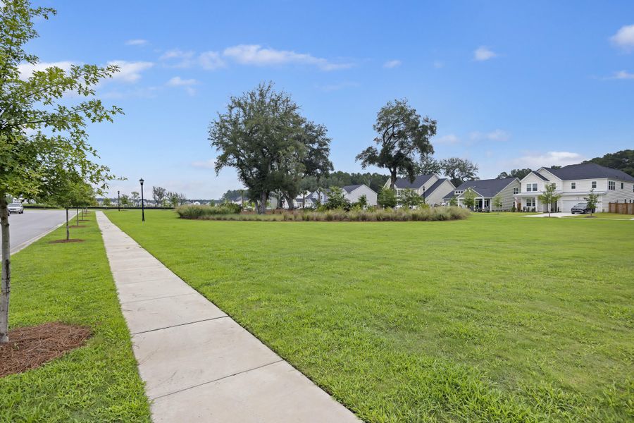 Natural landscape and outdoor views near Sweetgrass at Summers Corner in Summerville (Image 31). Natural landscape and outdoor views near Sweetgrass at Summers Corner in Summerville (Image 31).